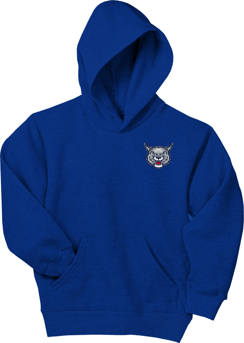 CT Bobcats Youth EcoSmart Pullover Hooded Sweatshirt